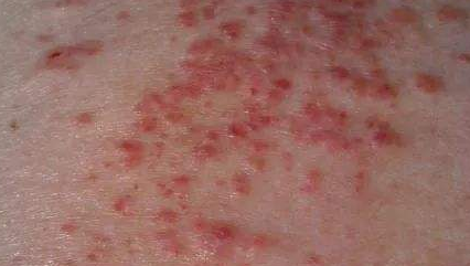 微信图片_20241007145642 微信图片_20241007145642